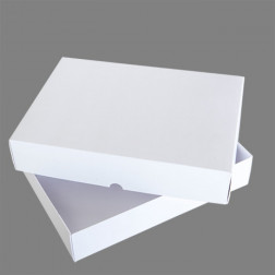 Presentation Boxes Large - 300x225x60mm