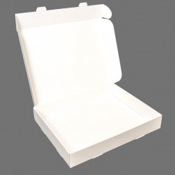 Postal Lock Parcel -Medium - 365x285x60mm