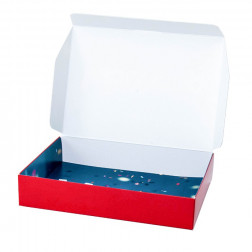 Self Assemble Hinged Lid Box - Small - 166x121x31mm