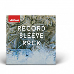 Record Sleeve 12" - 315x0x312mm