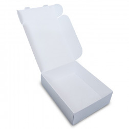 Postal Lock Parcel - 265x345x100mm