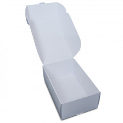 Postal Lock Parcel - Large - 185x310x120mm