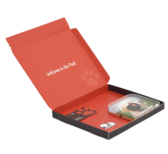 Square Mailer printed closed